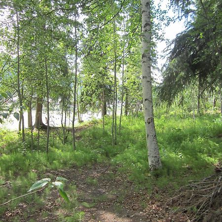 Dawson City River Hostel 외부 사진